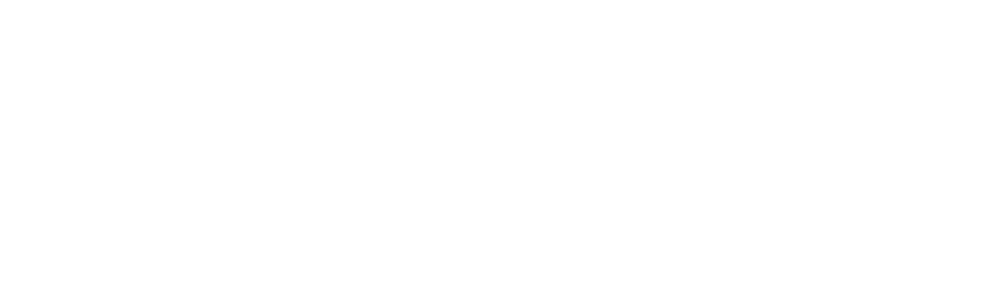 CSI Lyon Alumni